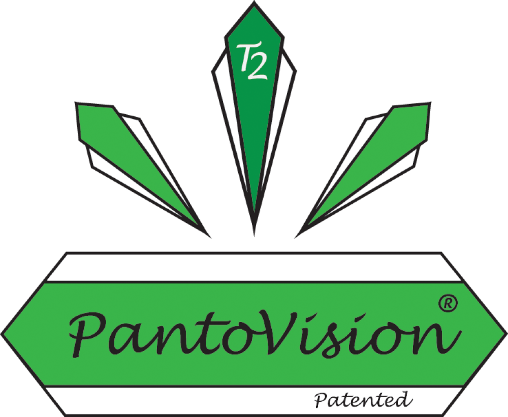 PantoVision